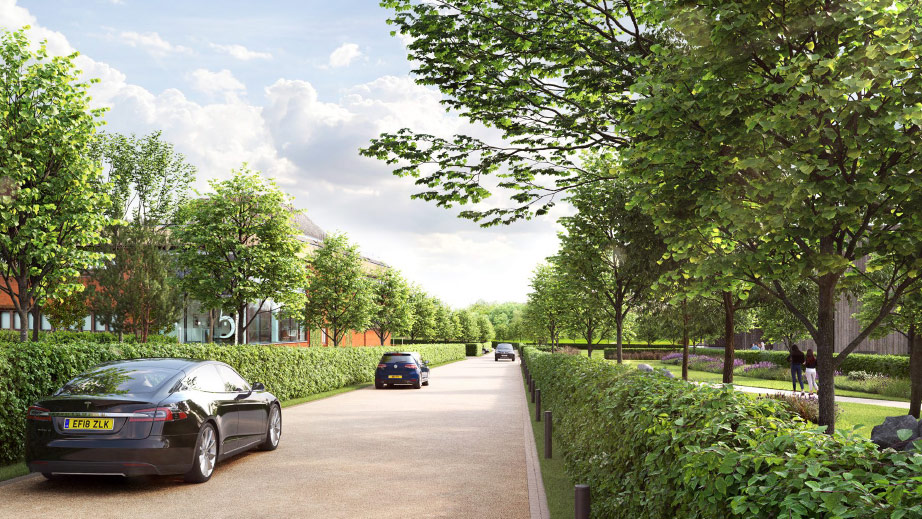 Proposed tree lined avenue