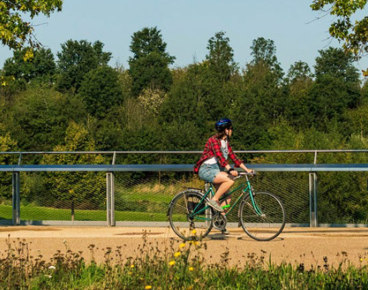 bike symbol