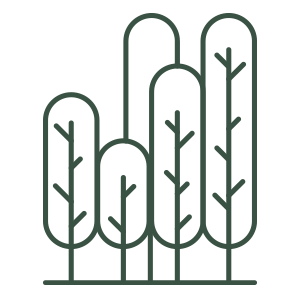 trees symbol