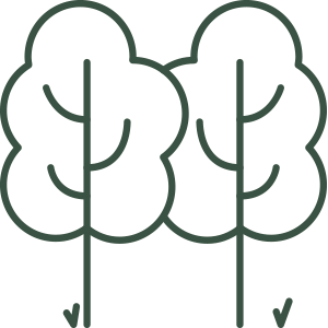 trees symbol