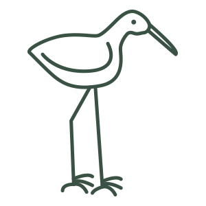 bird symbol