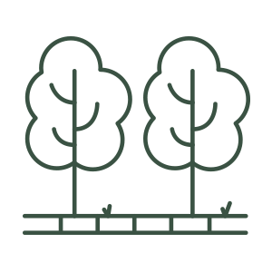 trees symbol